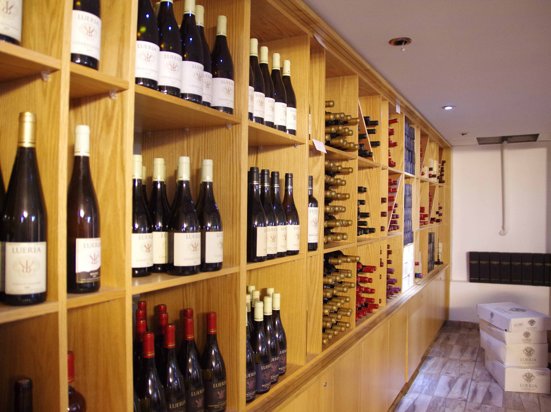 Lueria Winery-Kfar Hoshen必去景点