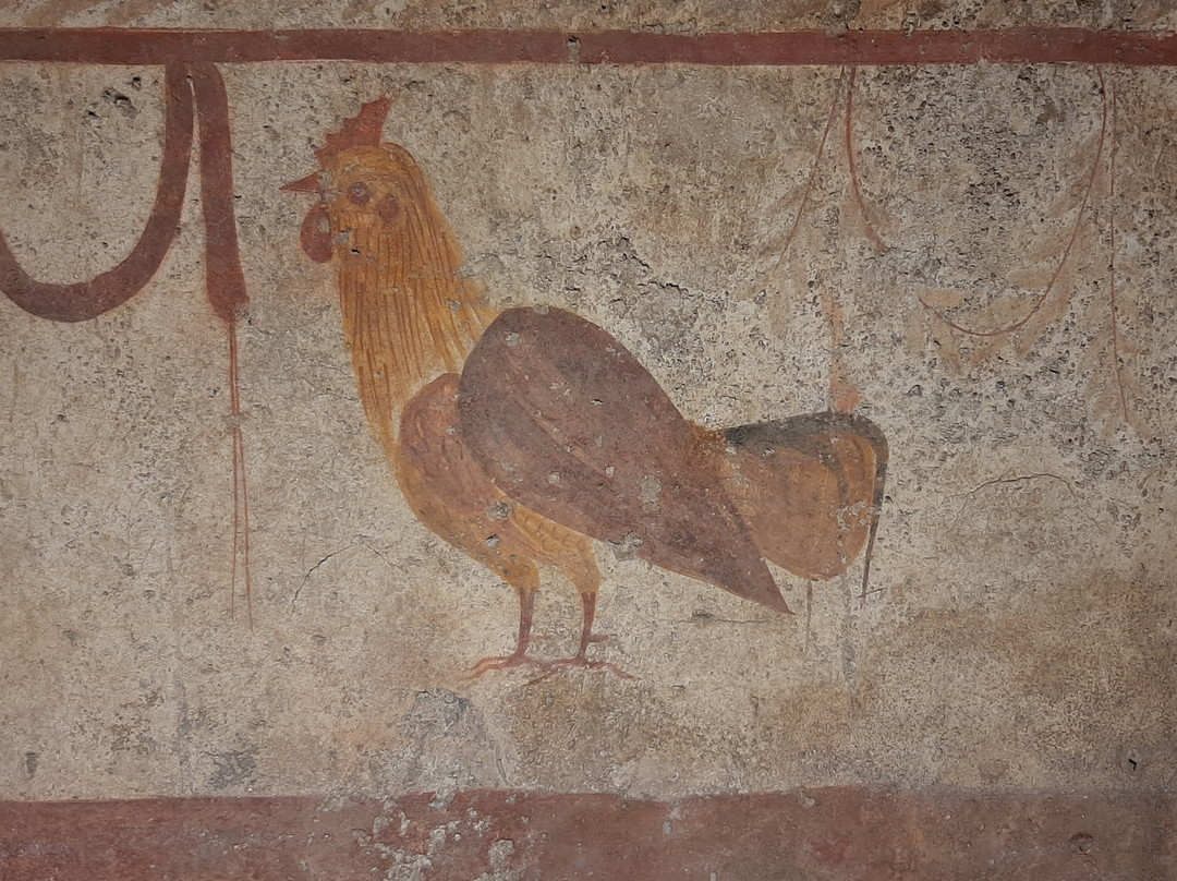 Museo Archeologico Nazionale di Paestum景点图片