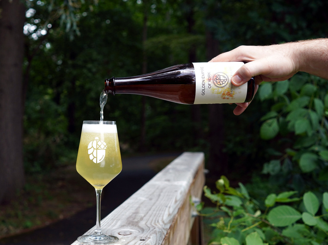 Sapwood Cellars Brewery-哥伦比亚必去景点