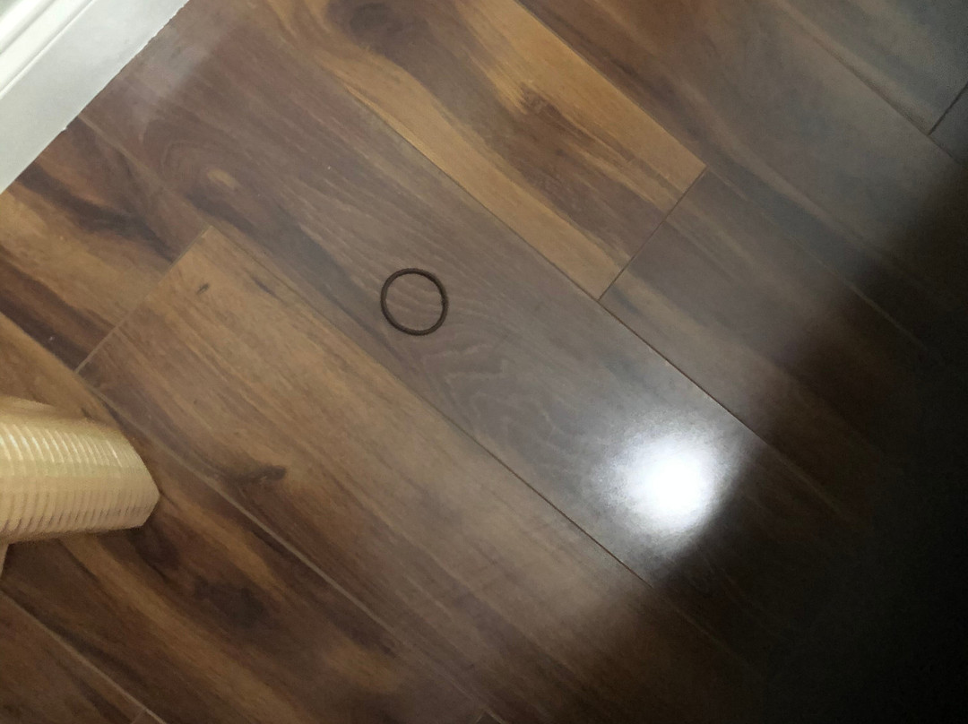 Best Western Plus Georgetown Inn & Suites主图