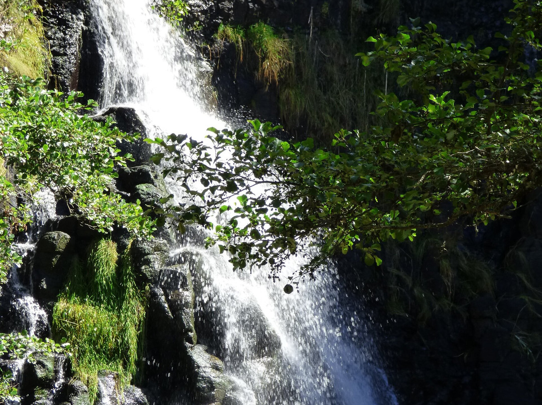 Cascade Du Sailhant (ou Du Babory)-Andelat必去景点