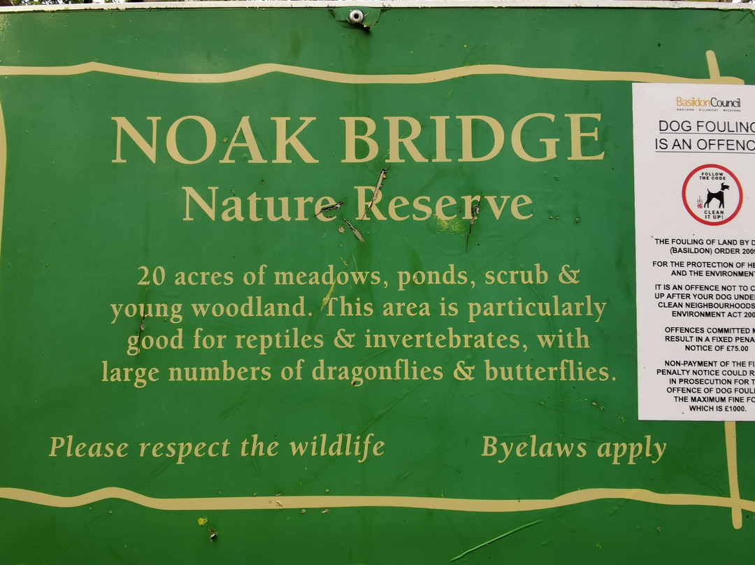 Noak Bridge Nature Reserve景点图片