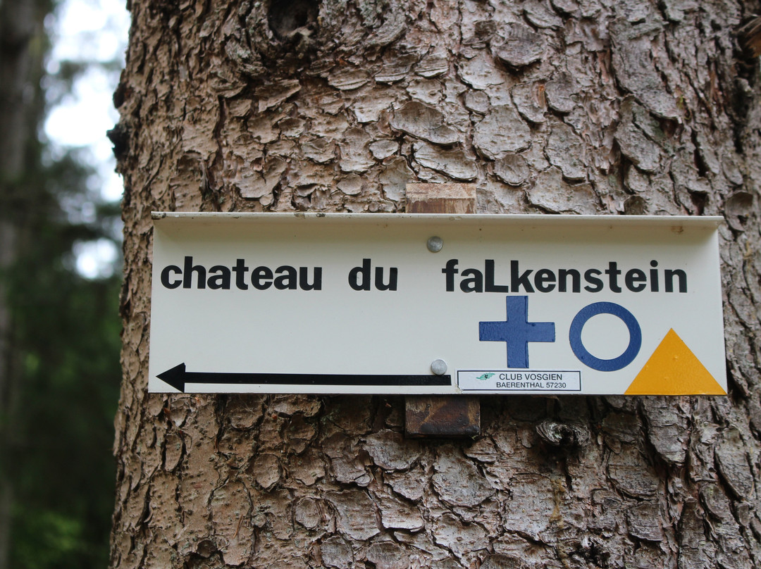 Chateau du Falkenstein景点图片