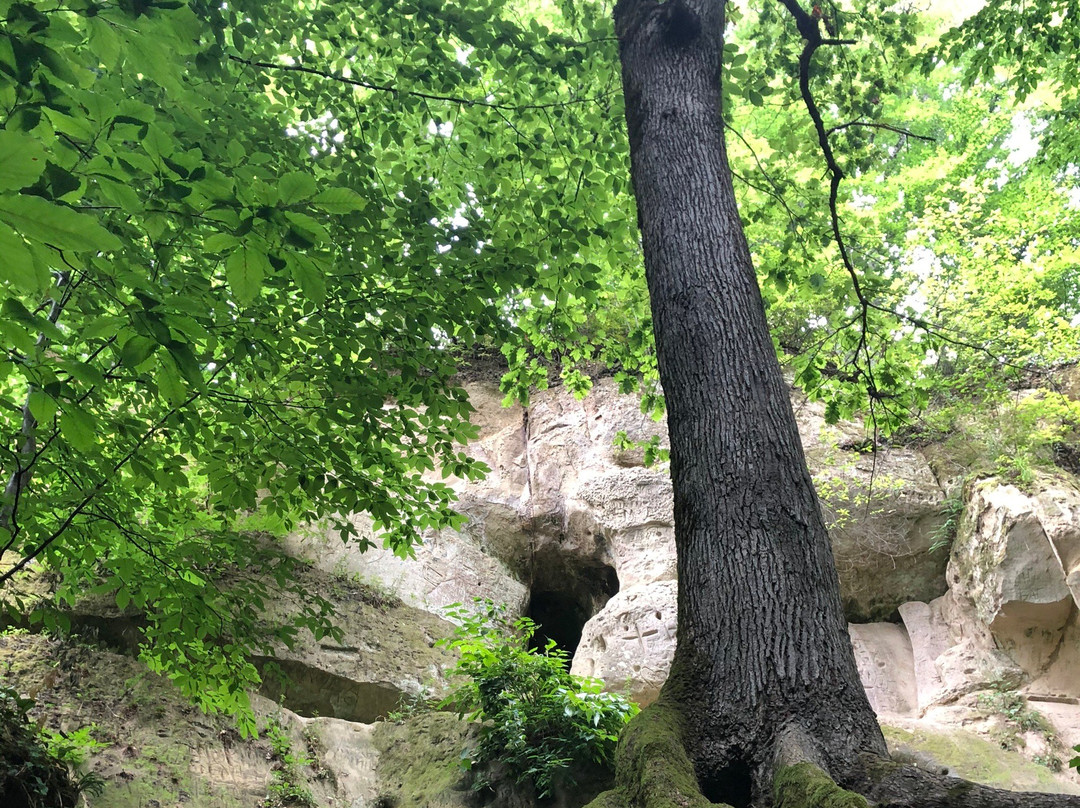 Powerful Cave景点图片