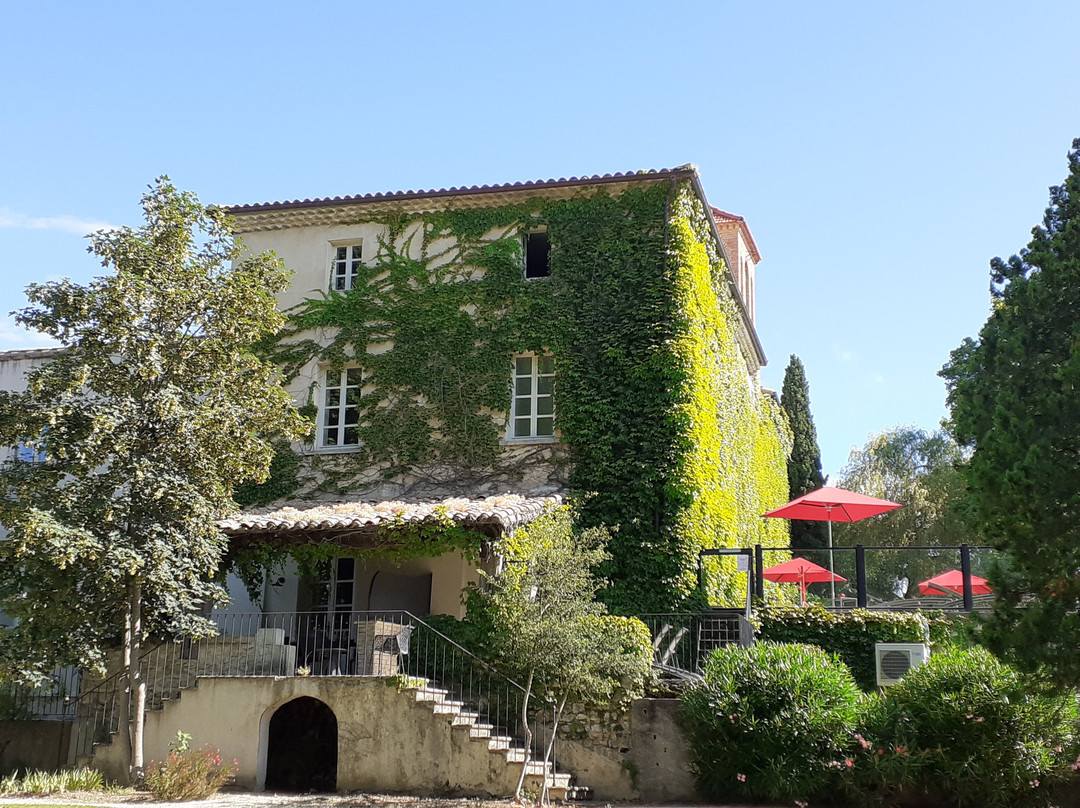 Domaine Du Colombier主图