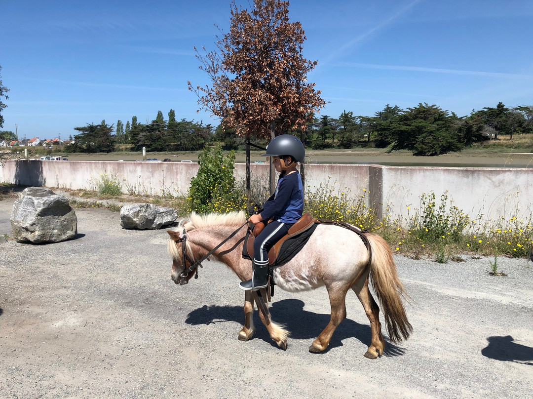 Centre Equestre Baulois景点图片