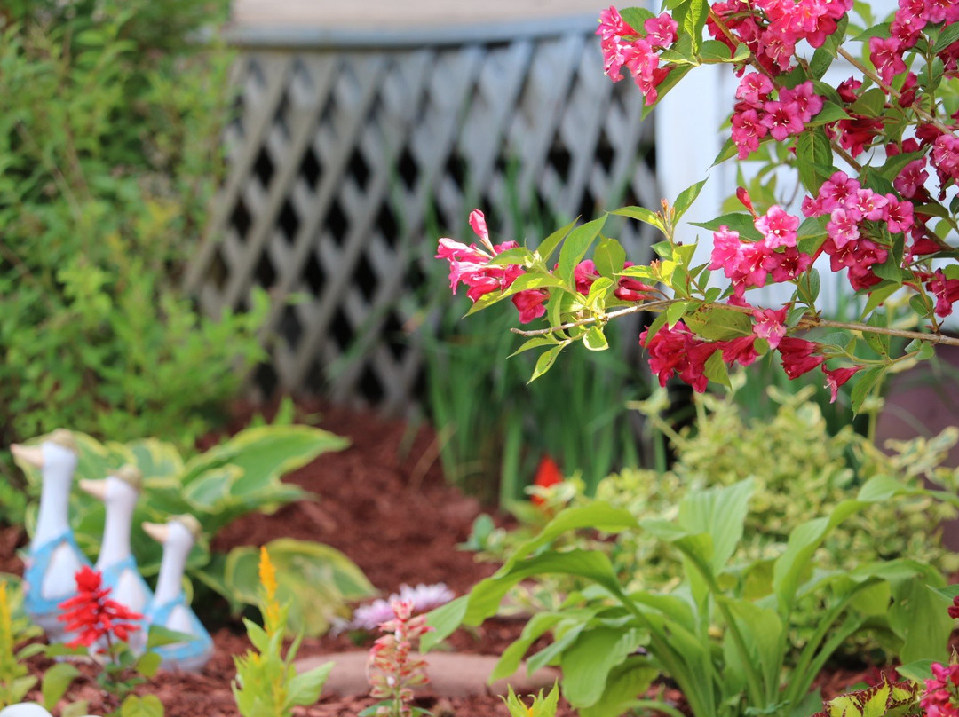 Baker Shore Bed & Breakfast主图