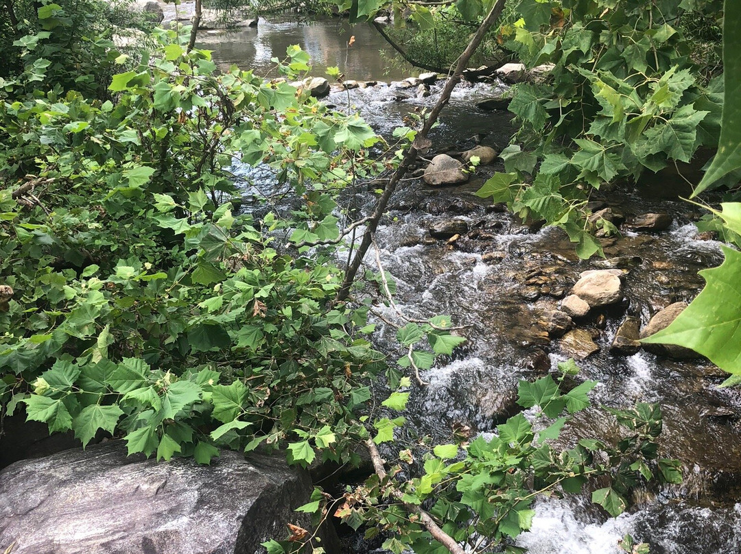 Rocky Broad Riverwalk景点图片