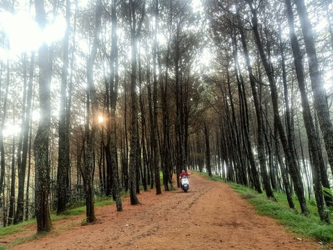 Bukit Senyum-万隆必去景点