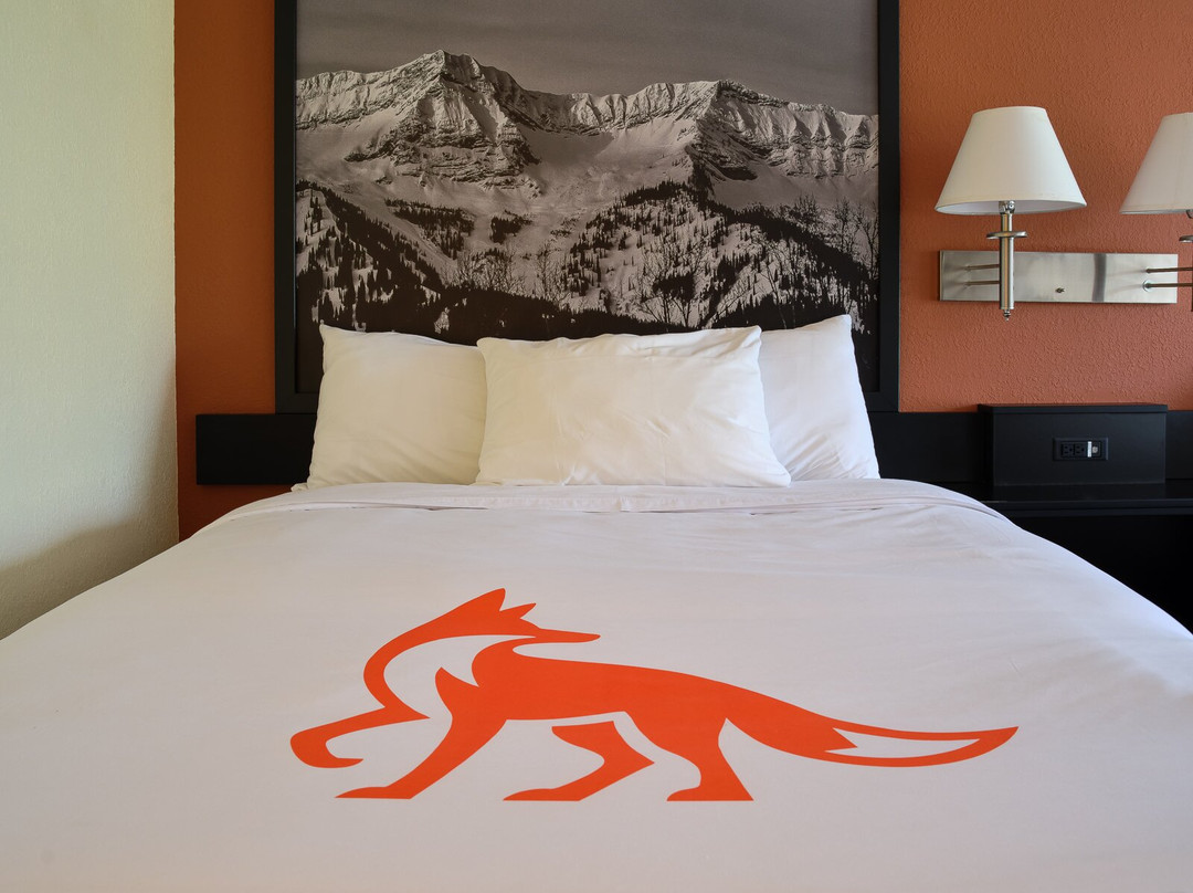 Fernie Fox Hotel主图
