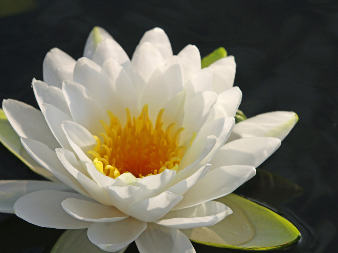 Big Cypress Tours-Uncertain必去景点