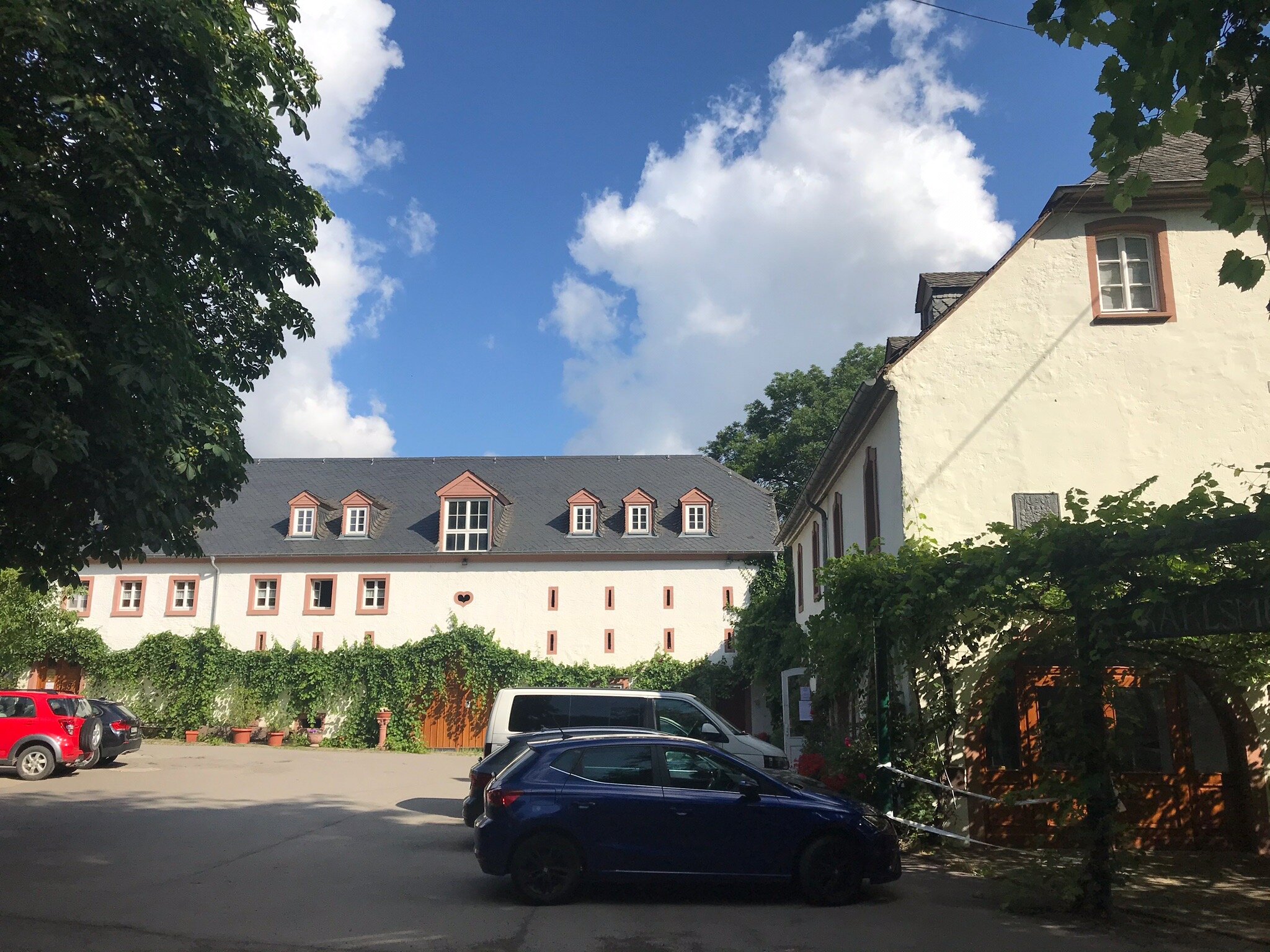 Hotel Weingut Karlsmuhle-官方