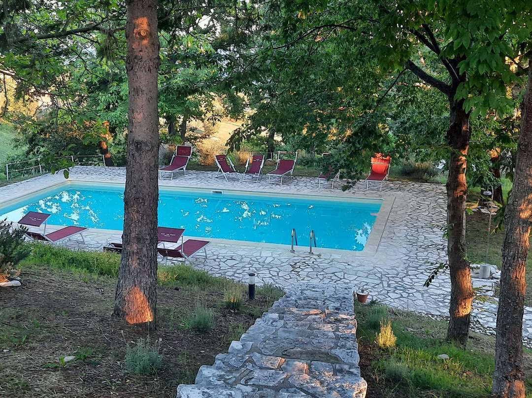 Agriturismo La Corte del Lupo主图