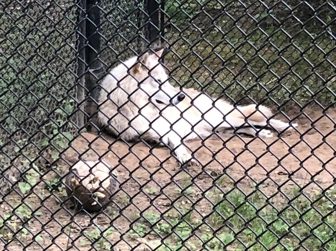 The Zoo in Forest Park & Education Center-斯普林菲尔德必去景点