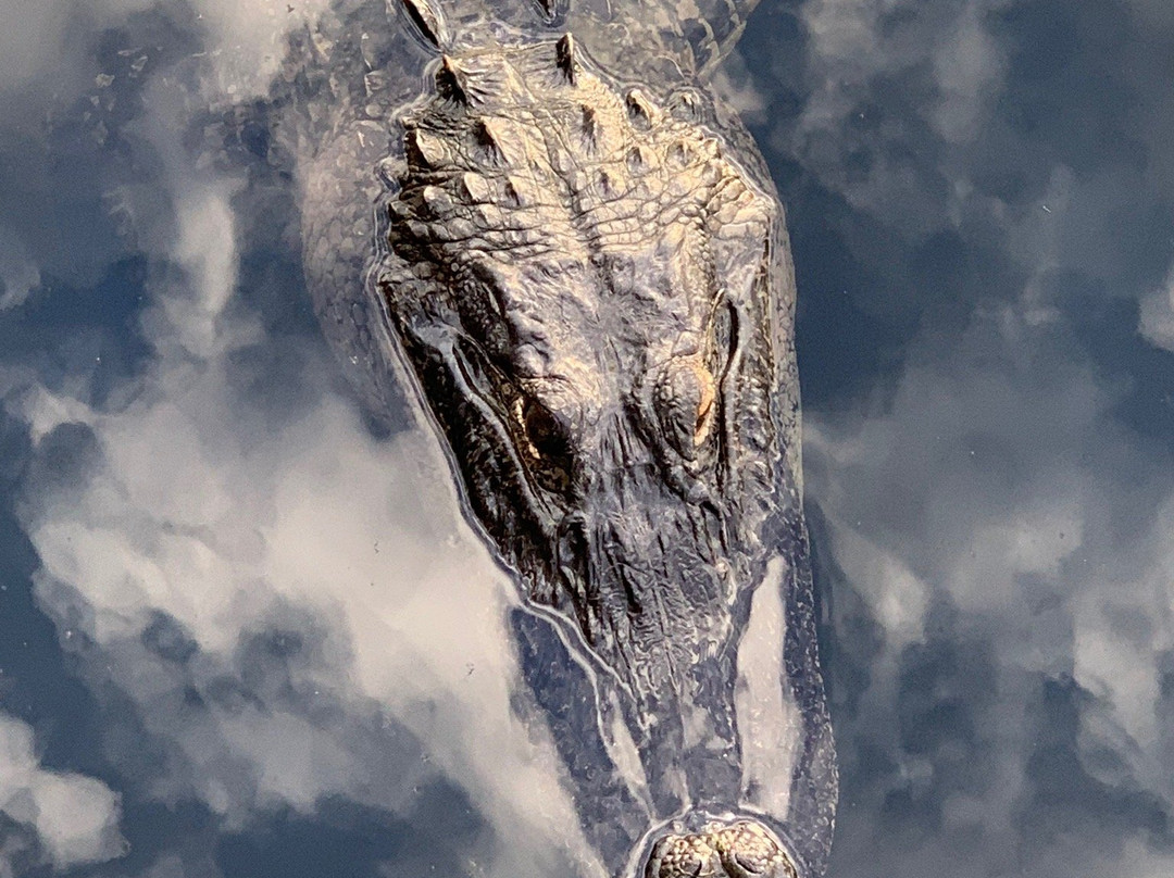 The Groves Golf and Country Club-Land O Lakes必去景点