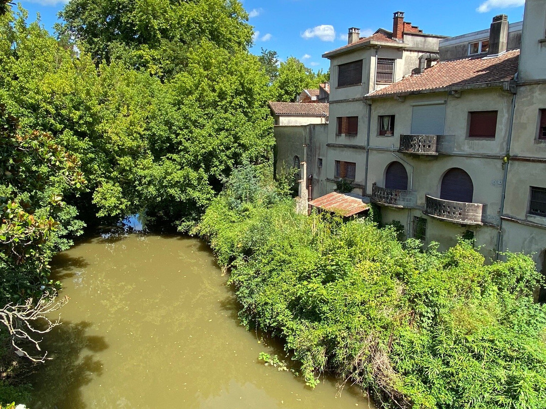 Office de Tourisme de Mont de Marsan景点图片