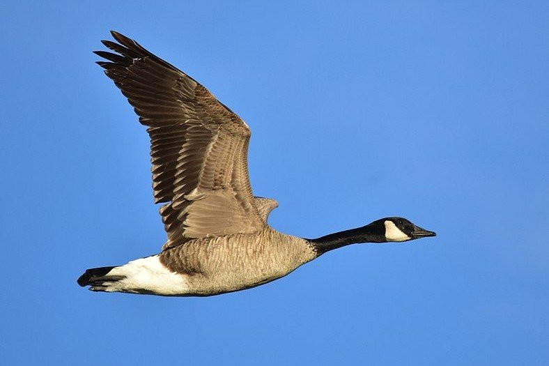 Lake Hartwell Boat Tours-Lavonia必去景点