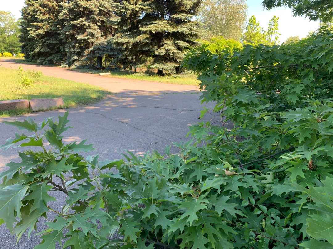 Kryvyy Rih Botanical Garden-Kryvyy Rih必去景点