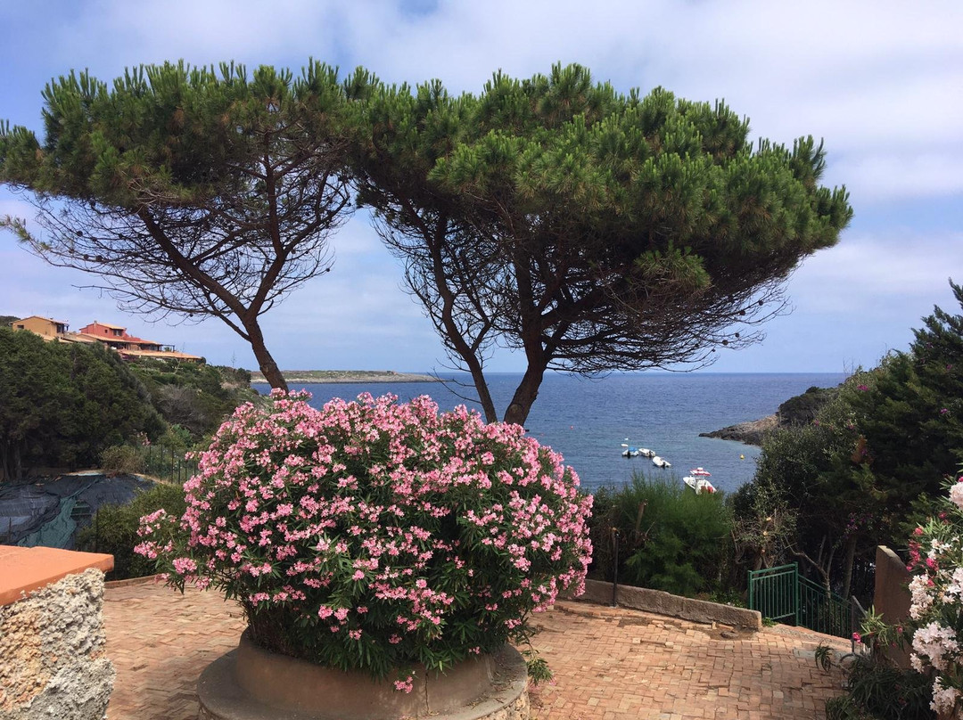 Cala Maestra-Giannutri Island必去景点