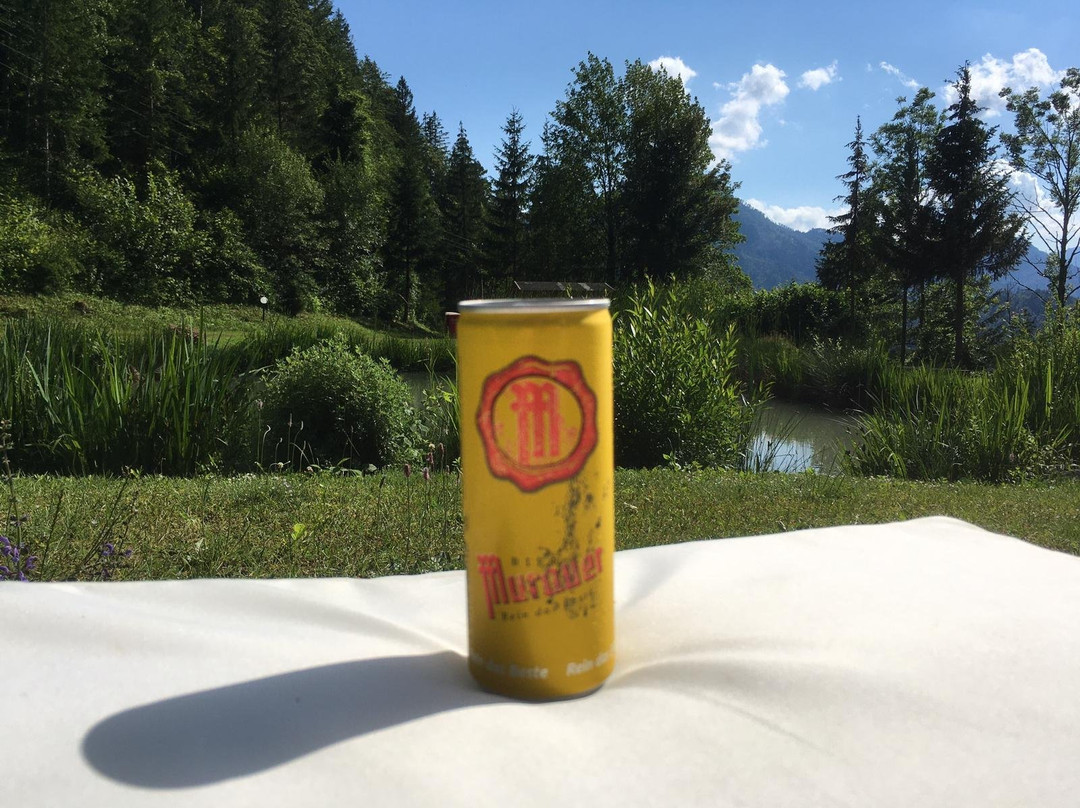 Hotel Berghof Brunner主图