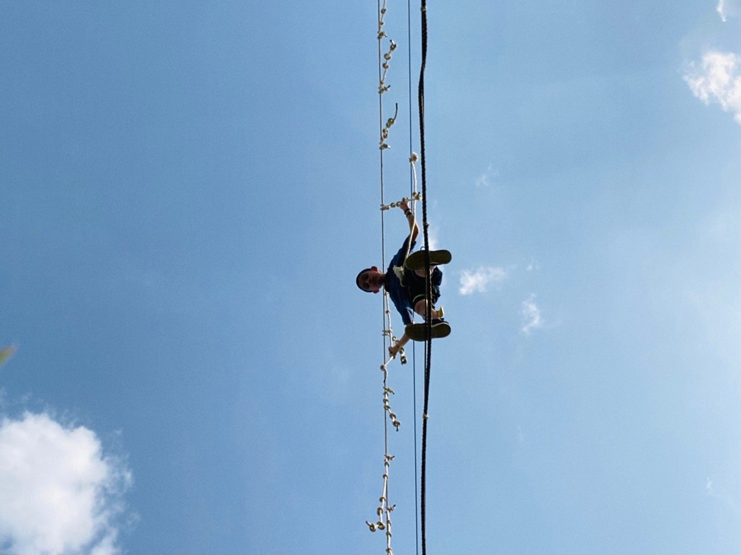 Vananchal Resort主图