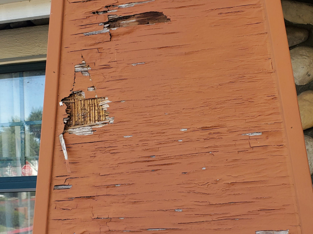 Extended Stay America Los Angeles - San Dimas主图