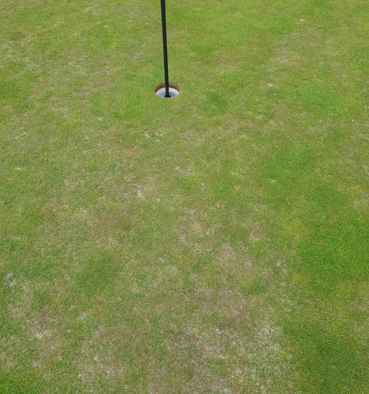 Rowallan Golf Course景点图片