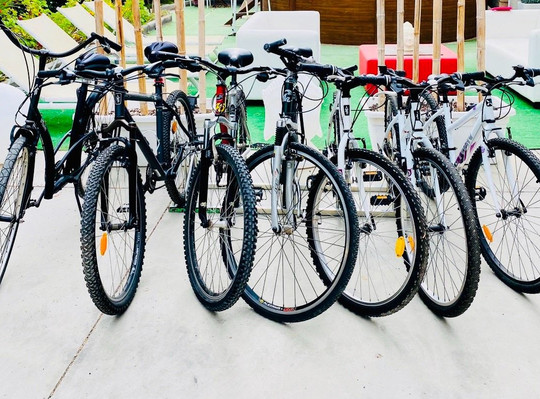 Discover & Explore Gran Canaria Bike Rental Experience-波多黎各必去景点