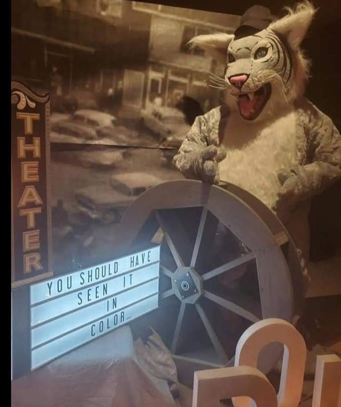 Stanley's General on Main-Pound必去景点