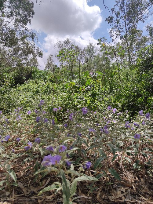 Shvil Nakhal Na'aman-Qiryat Bialik必去景点