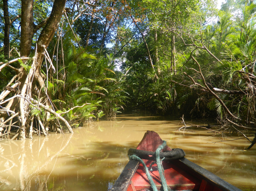 Furo do Miguelão-Ilha do Marajo必去景点