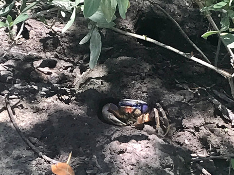 Lagoon Greenway-维罗海滩必去景点