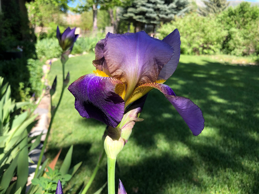 The Inn at Ellsworth Estate主图