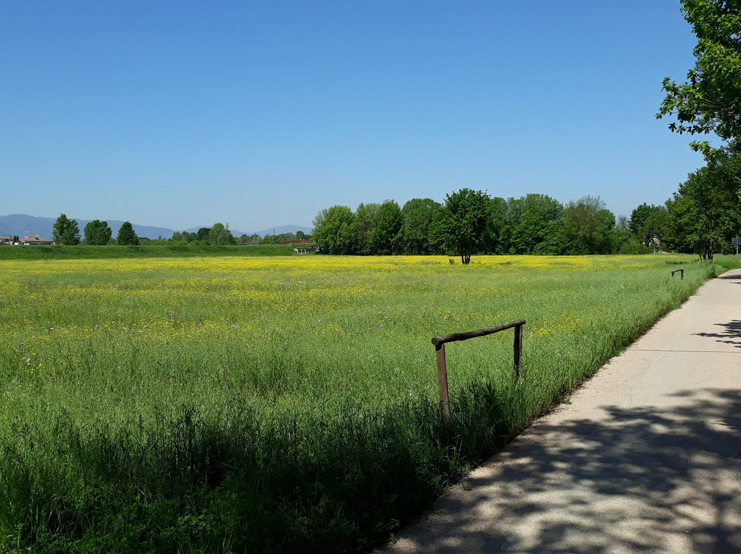 Area Naturale Protetta  La Querciola Casa Di Zela-夸拉塔必去景点