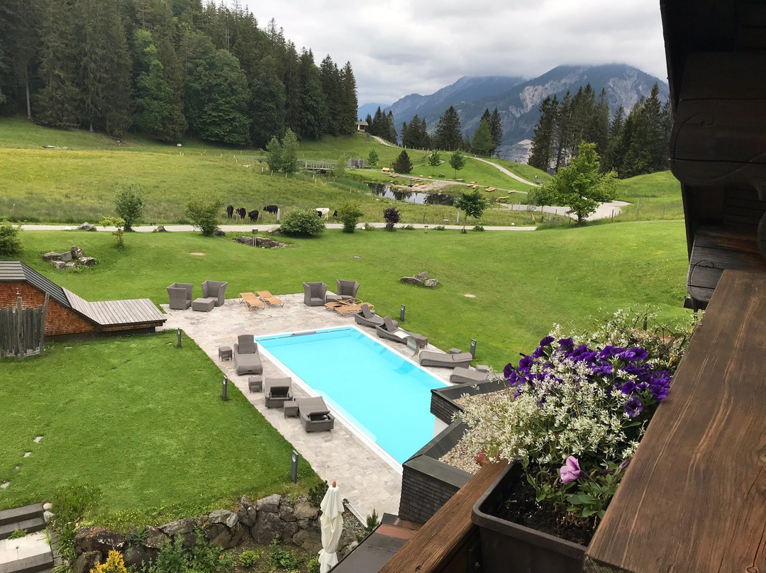 波尔格施拉桑格尔阿尔卑斯山酒店主图