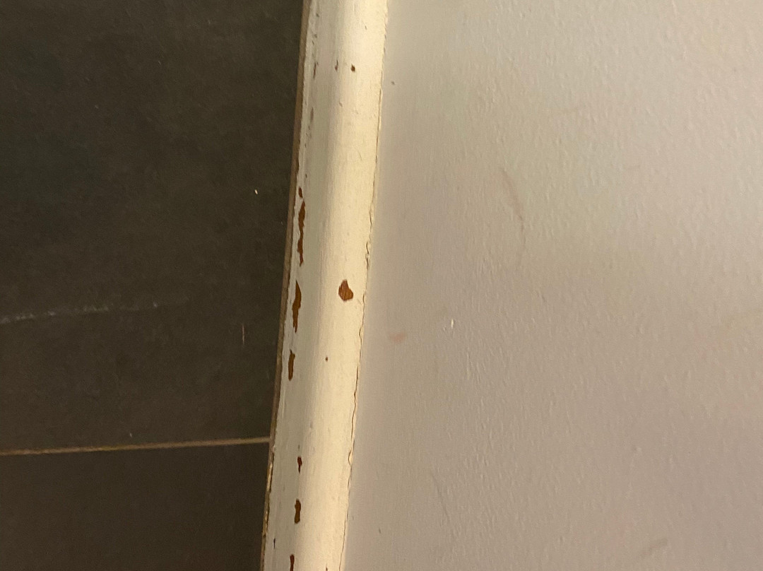 Tuncurry Motor Lodge主图