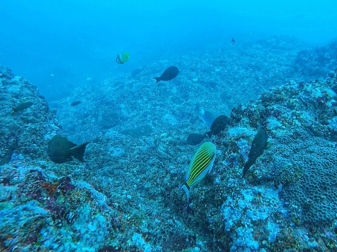 Adventure Divers Lombok-Kuta必去景点