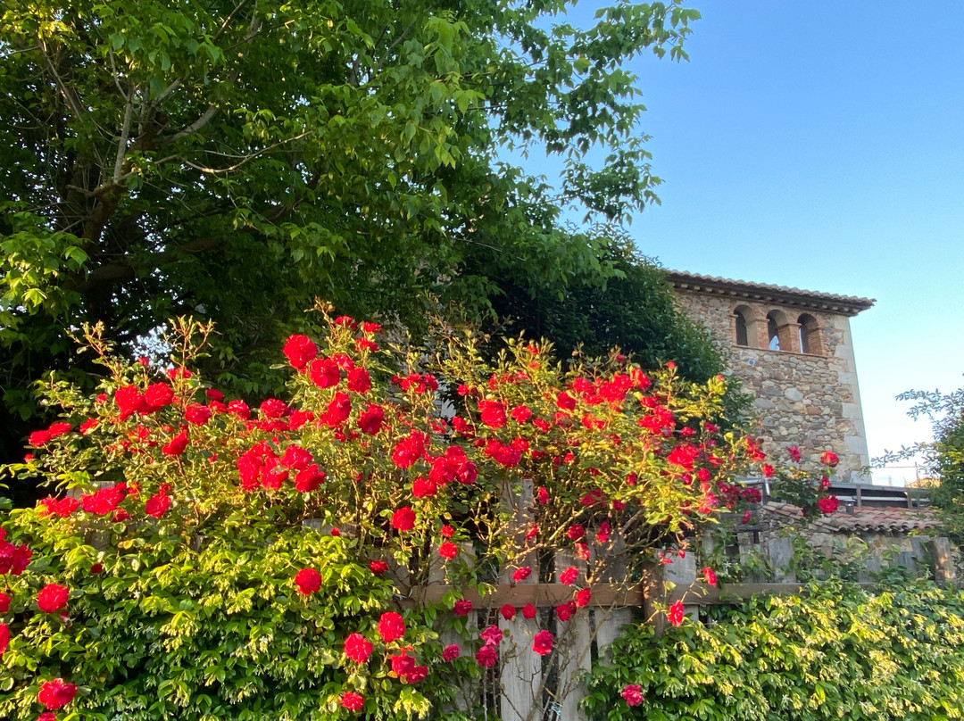 Mas Carreras 1846主图