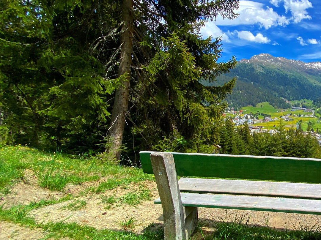 Davos High Promenade Walk-达沃斯必去景点