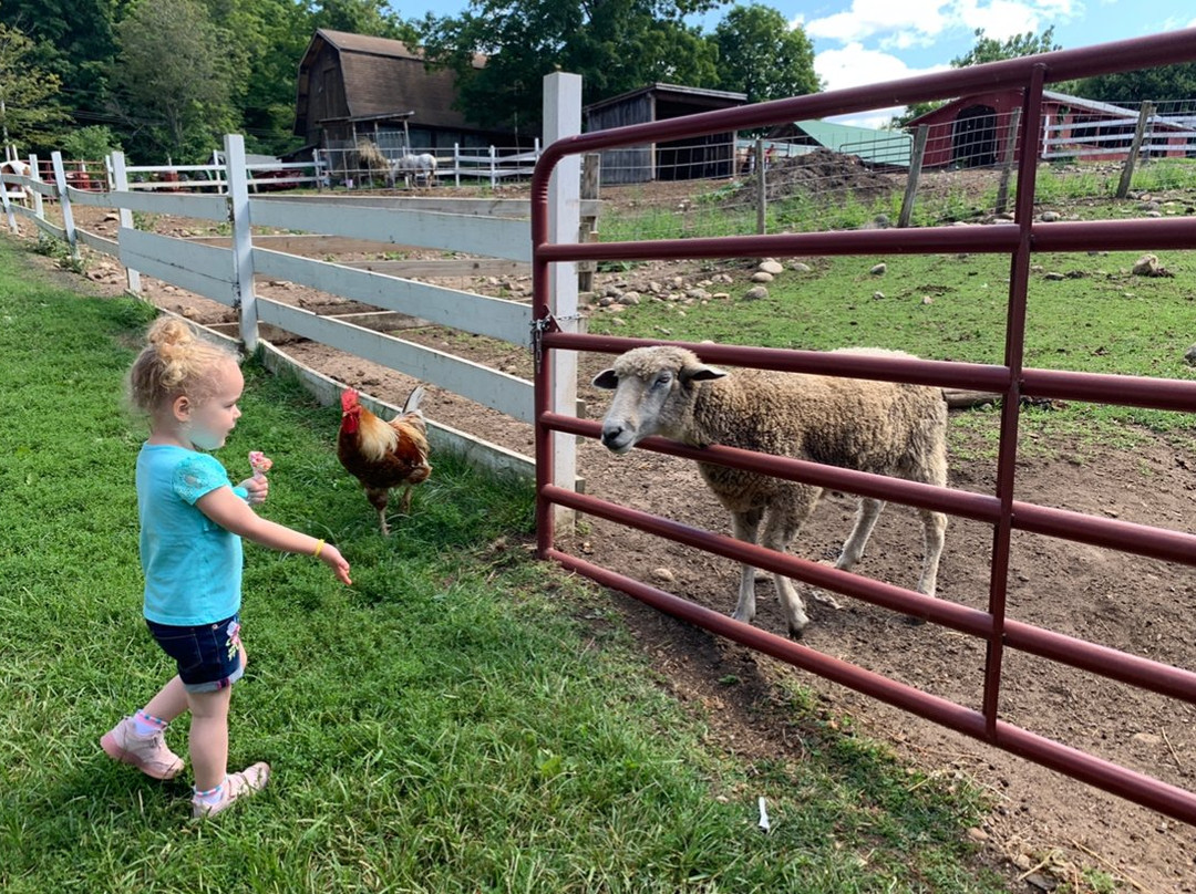 Flamig Farm-West Simsbury必去景点