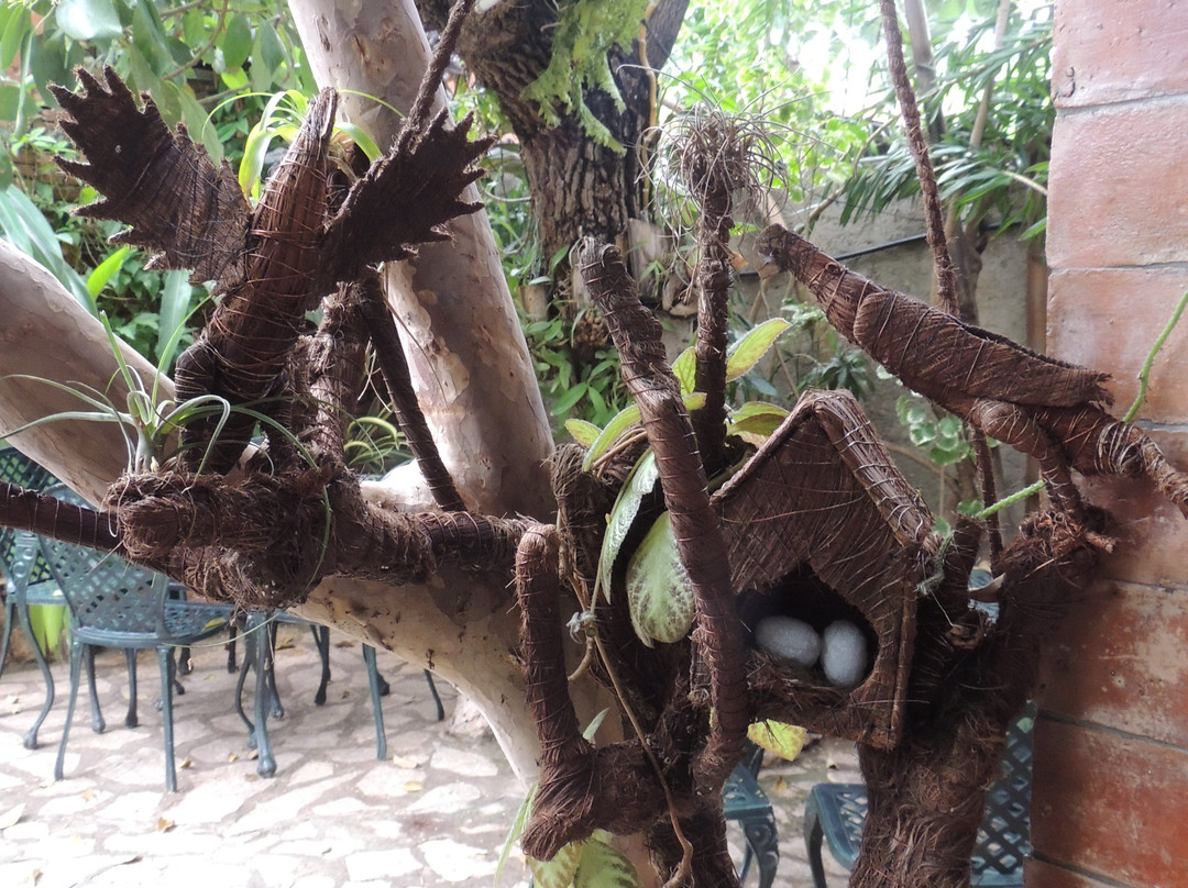 Hostal La Ceiba主图