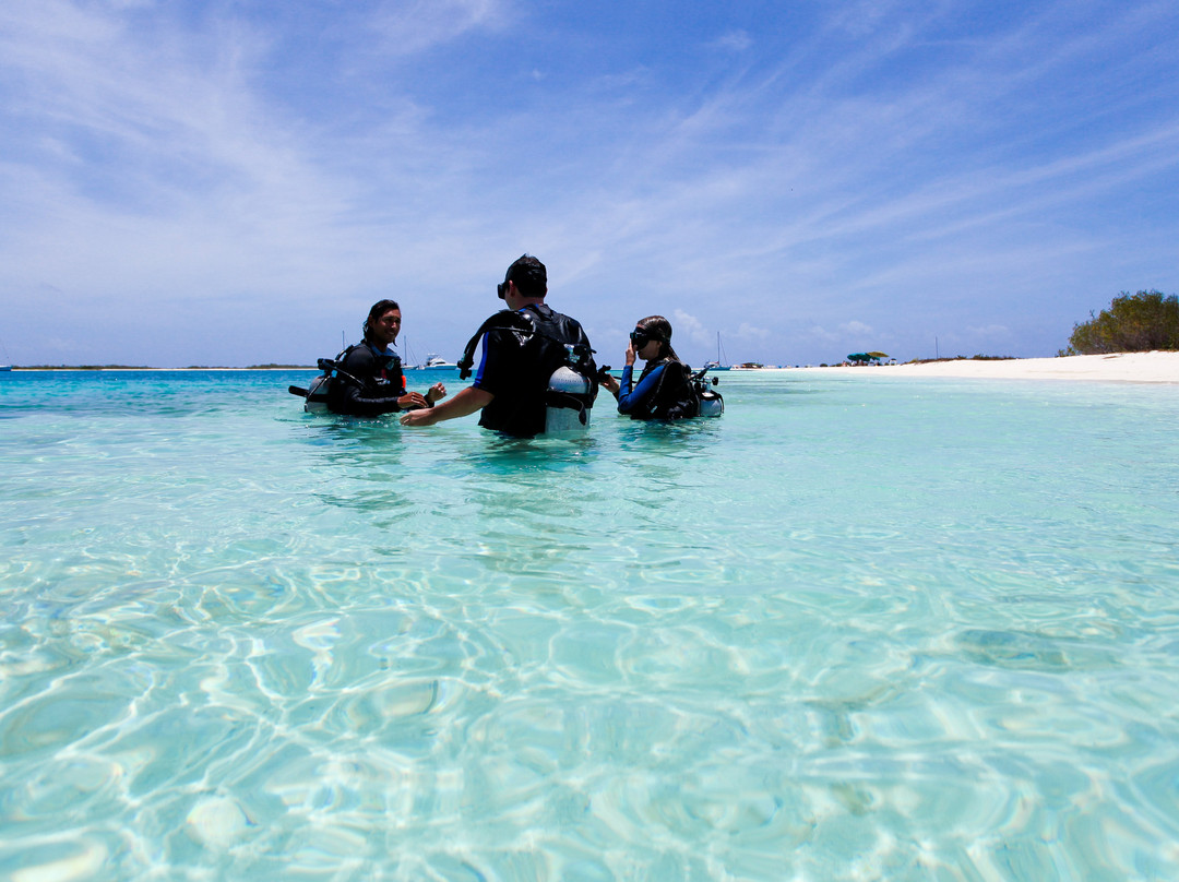 Dive Center Los Roques景点图片