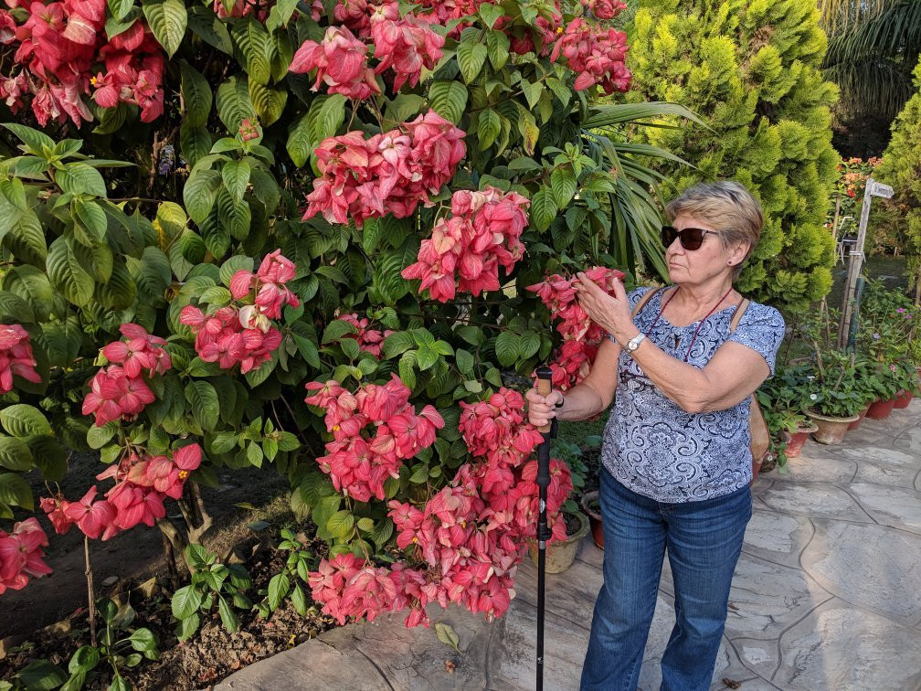 Center Park Resort主图