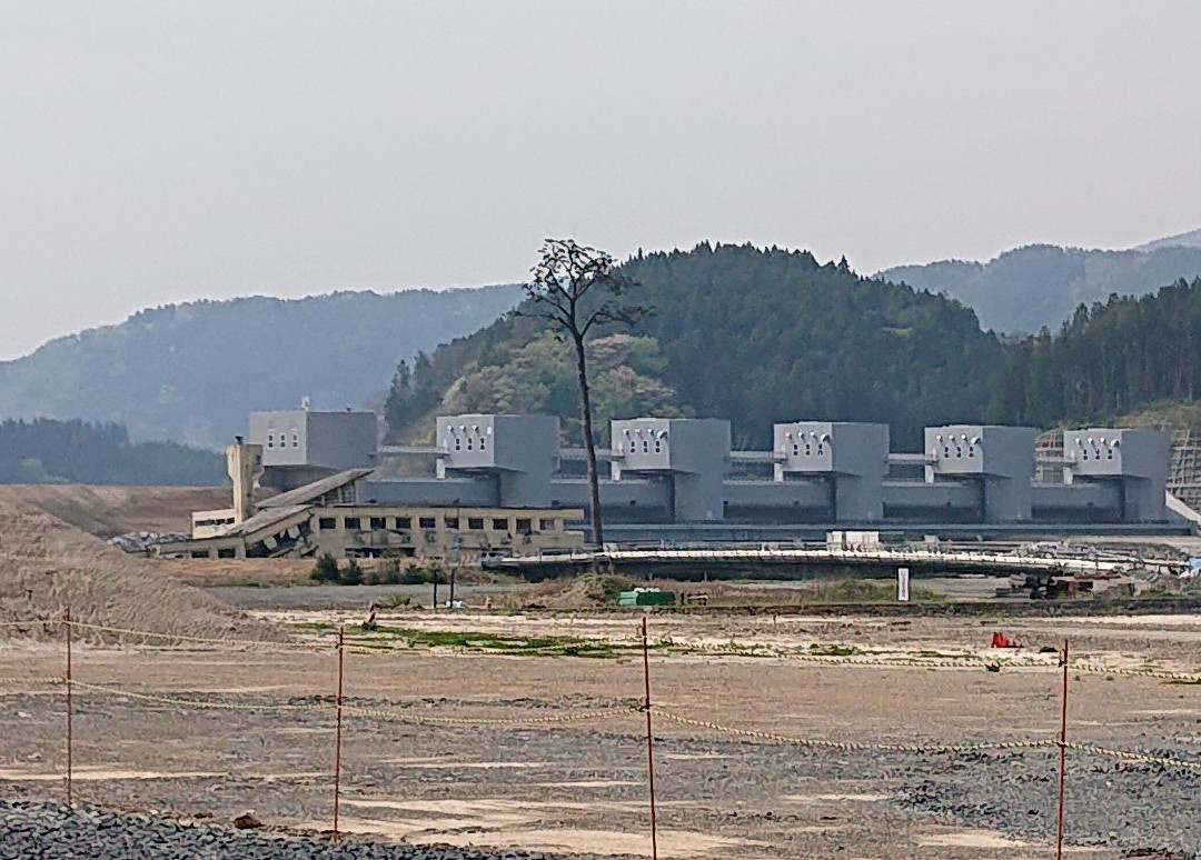 Miracle Lone Pine Tree-陆前高田市必去景点