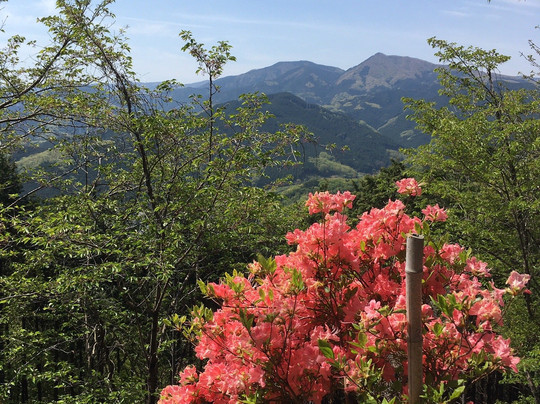 Mt. Kannokura-东秩父村必去景点
