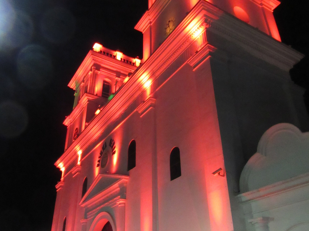 Basilica San Juan Bautista景点图片