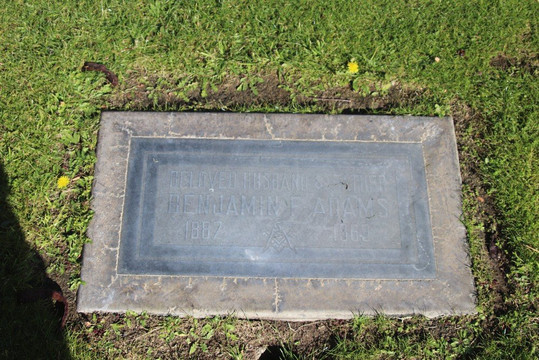 Desert Memorial Park-棕榈泉市必去景点