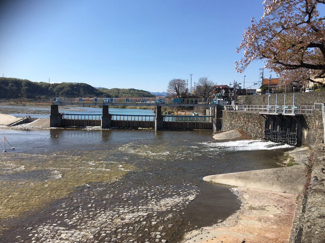 Hamura Syusuiseki-羽村市必去景点