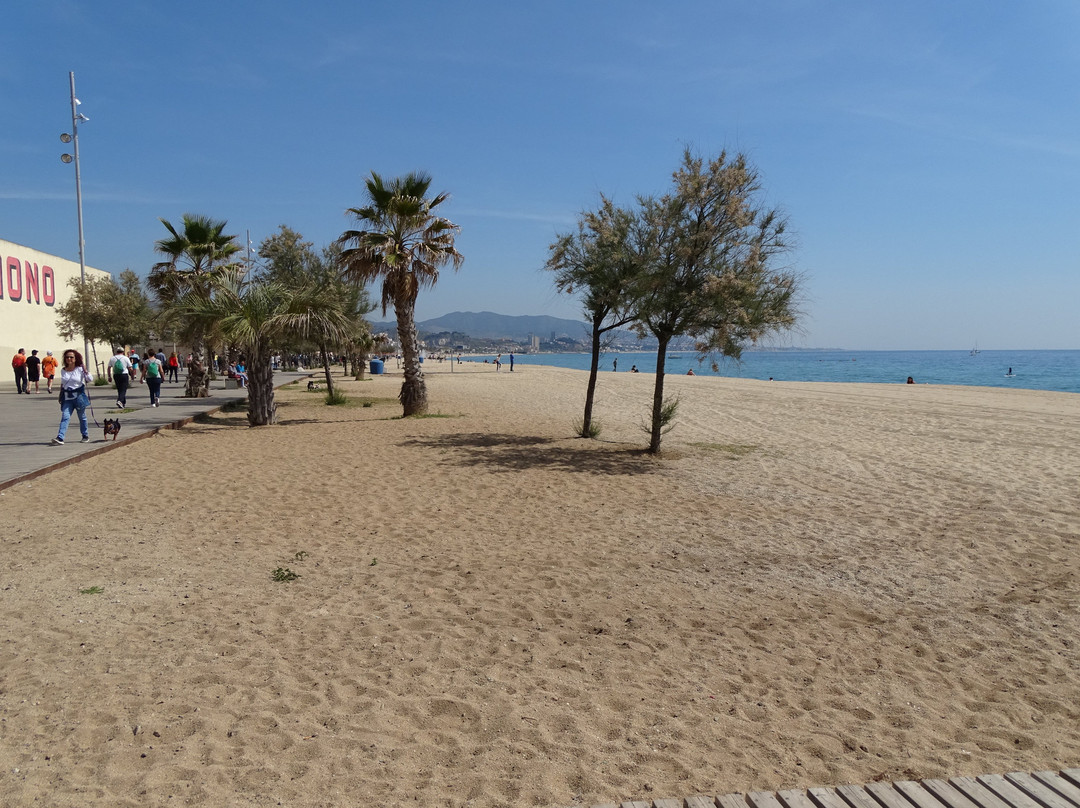 Playa de la Estacion景点图片
