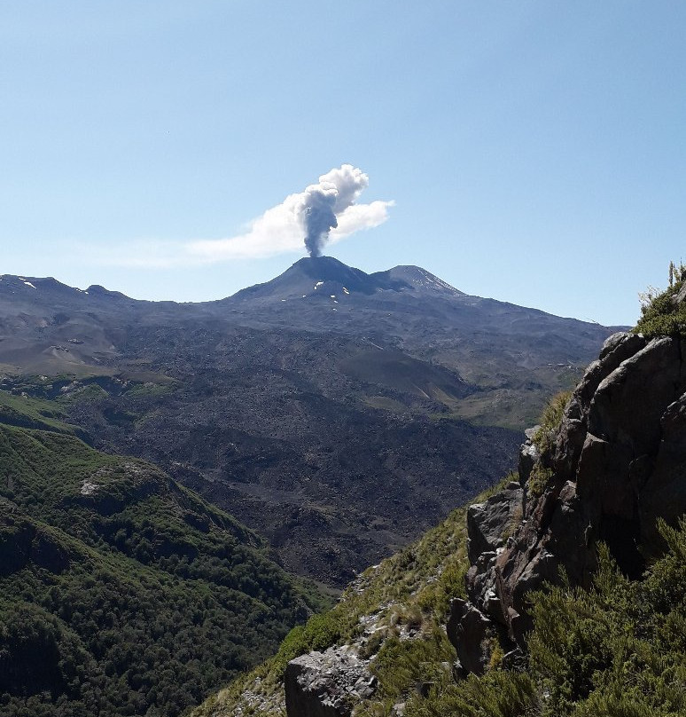 Laguna del Huemul-Pinto必去景点
